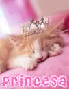 Princesa