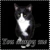 you annoy me