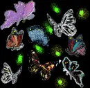 Glitterfly -  Sparkling butterflies 