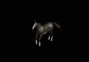 running horse