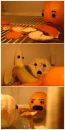 orange and banana skins