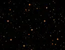orangge stars