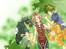 Team 7