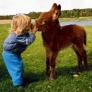 baby & Donkey