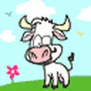 Crazy cow