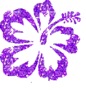 purple flower