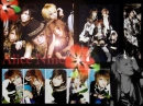 Alice nine