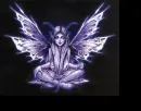 purple fairy