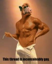 gay
