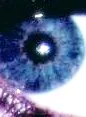 eye