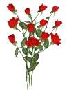 blooming rose bouqet