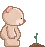 teddy n blooming rose