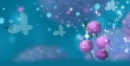 butterflyes & flowers