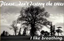 Don't destroy the trees