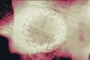 Background Curcling Circular Smoke Glitters