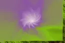 WAS a Painting of a fluffy spinning Background