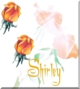 Shirley