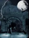 anyone home?