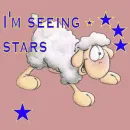 Lamb seeing stars
