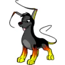  Gelert