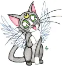 kitten2a