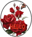 Hello