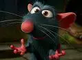 ratatouille