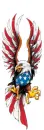 American Eagle