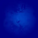 the blue anime