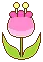 Pretty Tulip