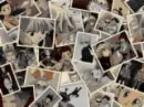 hunter x hunter