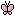 Pink Butterfly