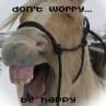 Be happy
