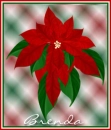 Poinsetta Tag