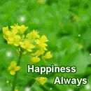 happiness always