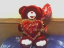 only you bear