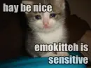 Emo kitty