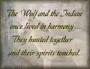 wolf & Indians