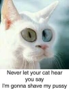 lmfao