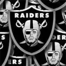 Raiders Logo Background