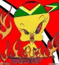 Fired Up Tweety