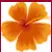 beach/flower