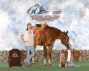Western Pleasure