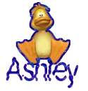 Ashley Duck