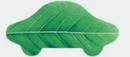 live green