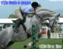 Equestrians