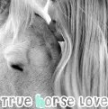 Horse Love