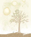 Peach Tree?