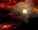 The Dark Sky