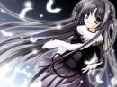 White Feathers